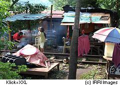 Arme Familien in Slums an Bahnschienen, Manila Philippinen Arme in Elendsquartieren an Bahnschienen in Manila