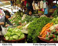 Gemüse und Obst, Markt in Baguio, Philippinen Gemüse-Stand auf dem Markt von Baguio, Philippinen