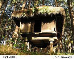 Igorot-Haus auf Pfählen bei Banaue, Philippinen