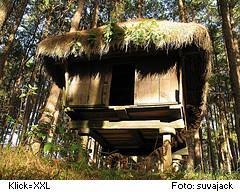 Igorot-Haus auf Pfhlen bei Banaue, Philippinen