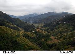 Reis-Terrassen Banaue, Philippinen