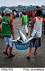 Fischer auf dem Weg zum Markt, Panay Philippinen