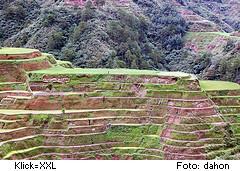Plateau eines Berges mit Reisfeldern bei Sagada, Philippinen